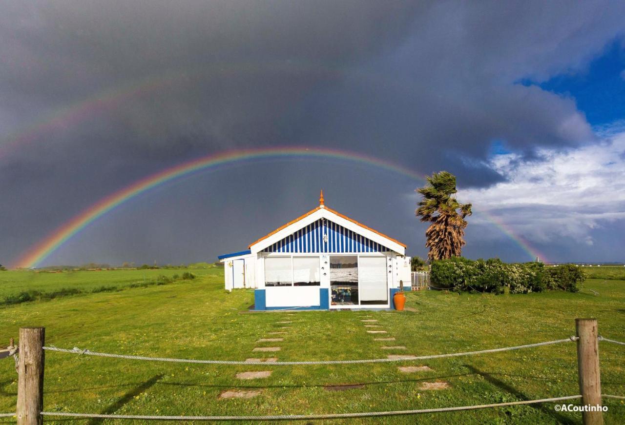 Casa Dos Flamingos Villa Murtosa Luaran gambar